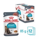 Royal Canin Pouch Cat Urinary Care Gravy 85g
