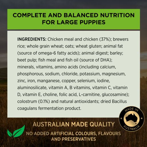 Purina Pro Plan Puppy Large Breed Healthy Growth & Development 3Kg