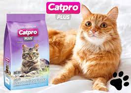 Catpro Plus Salmon & Tuna 1Kg