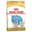 Royal canin golden retriver Puppy 3Kg
