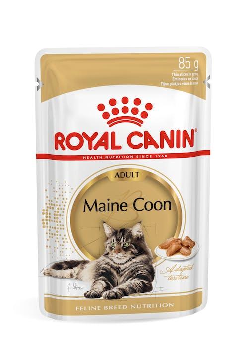 Royal Canin Cat Adult Maine Coon Pouch 85g
