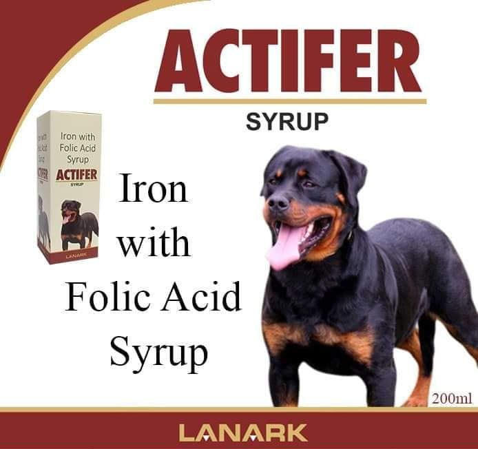 [PC00007] Actifer Syrup 200ml, Rs.500.00