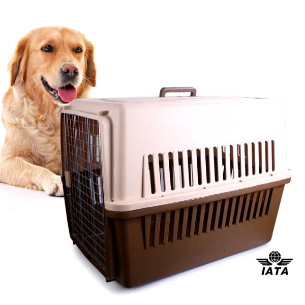 Cage Transport - L (SMS)
