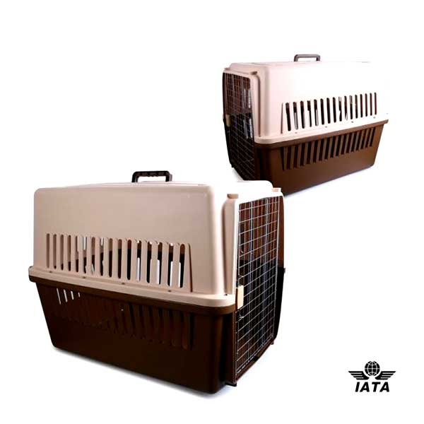 Cage Transport - M (SMS)
