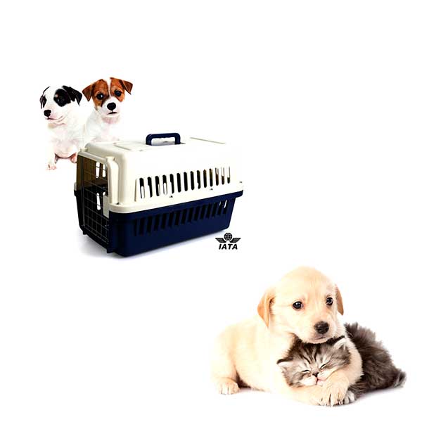 Cage Transport - S(SMS)