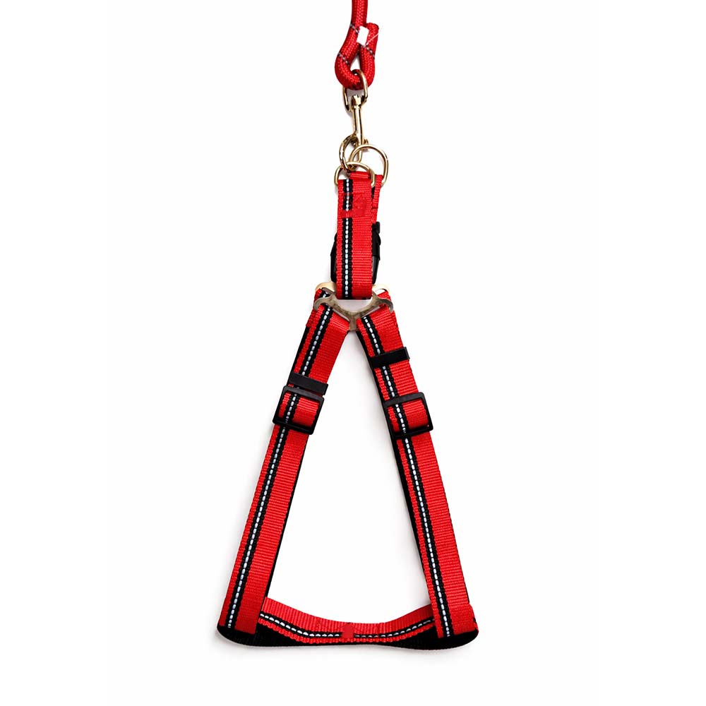 [PC03369] Harness Kit Reflective R/L With Soft Grip 2.5cm, Rs.2,100.00
