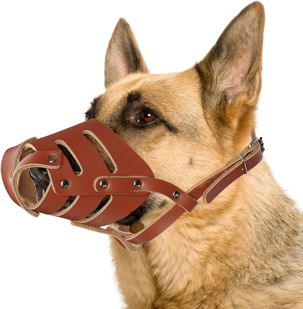 [PC01312] Muzzle leather - M, Rs.1,400.00