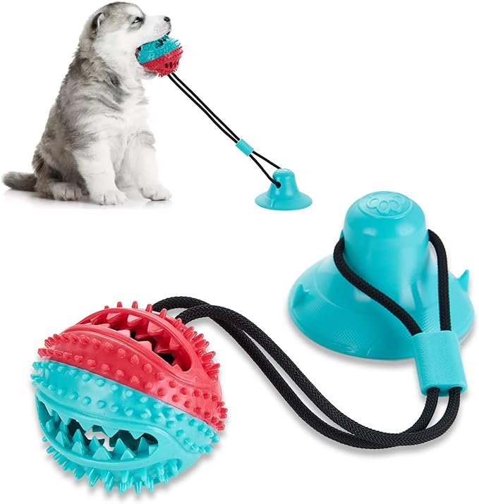 [PC02935] Toy Tug Ball With Suction Cup, Rs.2,600.00, OPD Rs.2,600.00