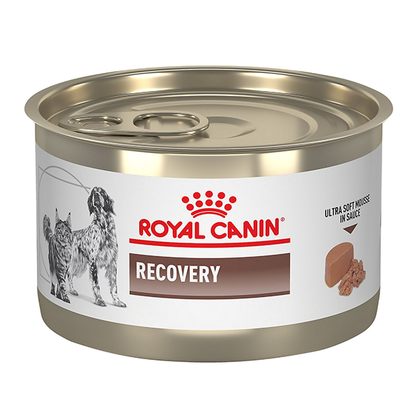 [PC03963] Royal Canin Recovery 195g (1), Rs.990.00