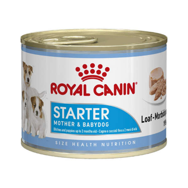 [PC01767] Royal Canin Starter Mousse 195g (2), Rs.900.00