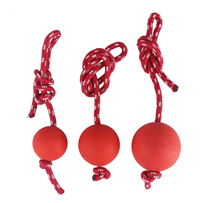 [PC02944] Toy Ball Rubber With Leash 7cm - XL (1), Rs.1,180.00