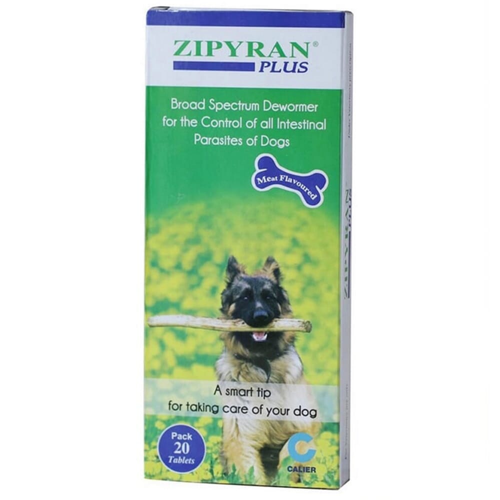 [PC02797] Zipyran Plus 2's (2), Rs.180.00