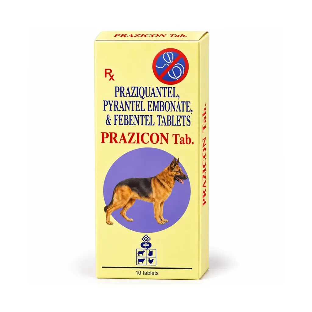 [PC01619] Prazicon Tablet (1), Rs.100.00