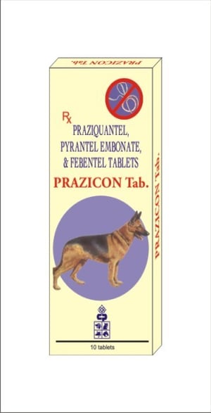 [PC01619] Prazicon Tablet (1), Rs.100.00