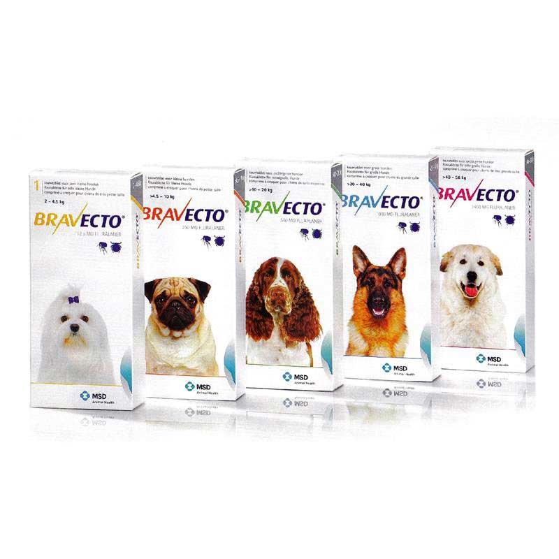 [PC03555] Bravecto 20kg - 40kg (1000mg) (3), Rs.8,780.00, OPD Rs.8,780.00