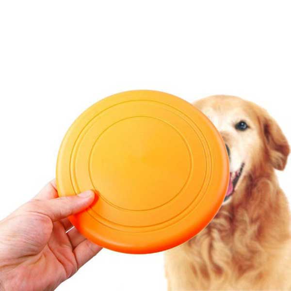 [PC03672] Flying disk  (3), Rs.300.00