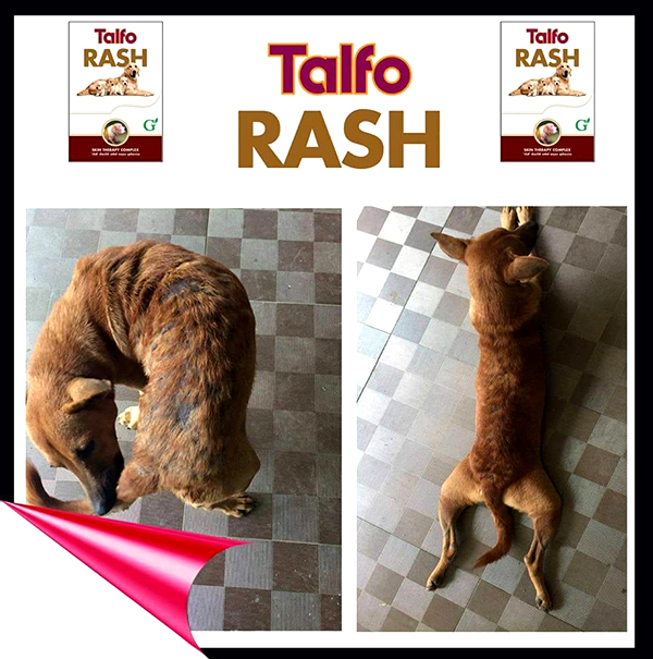[PC03686] Greenvet Talfo rash 25g (4), Rs.650.00