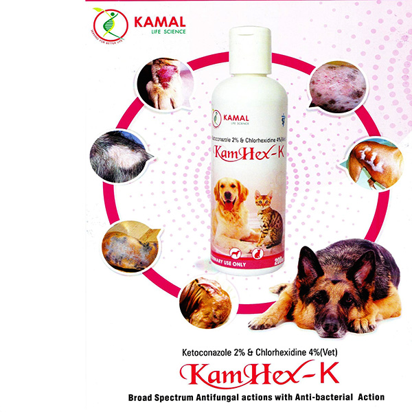 [PC03721] Kamhex - K 2% Shampoo 200ml (5), Rs.1,350.00
