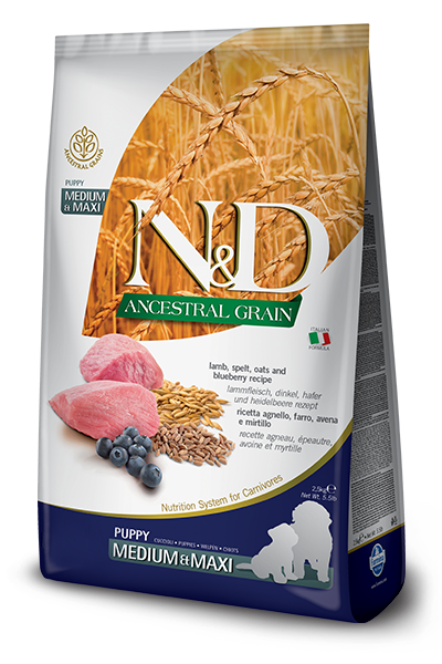[PC02576] N&D Ancestral Grain Light Medium & Maxi Adult 2.5Kg (3), Rs.8,850.00