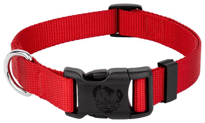 [PC03841] Neck Collar Plain 1" (2), Rs.250.00
