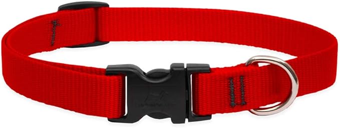 [PC03842] Neck Collar Plain 3/4" (3), Rs.240.00