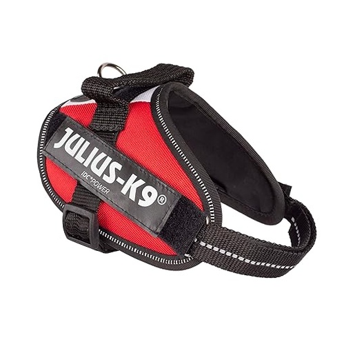 [PC02931] Harness Kit With Luminex Belt - S