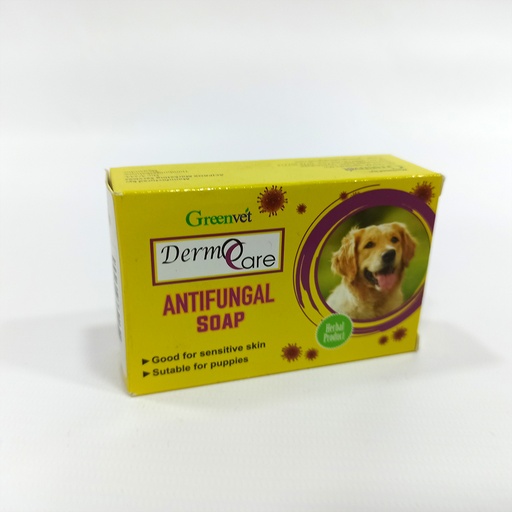Derm Care Antifungal Soap 70g