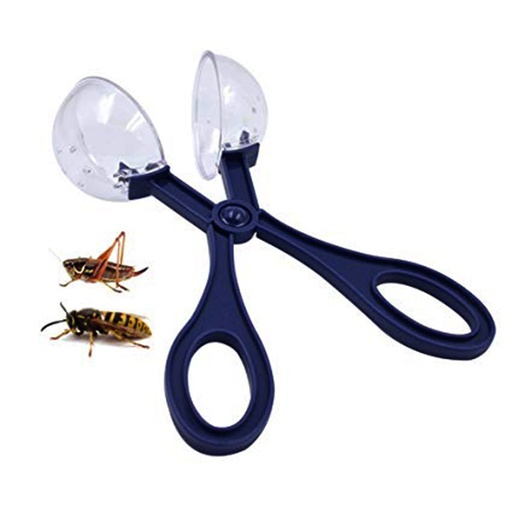 Insects catchers