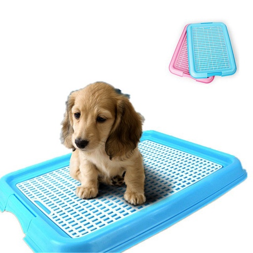 Litter training tray 